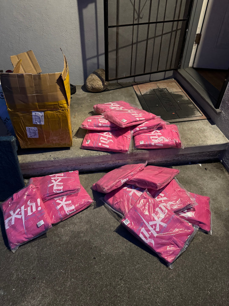 Punk Hoodie (Bubble Gum)