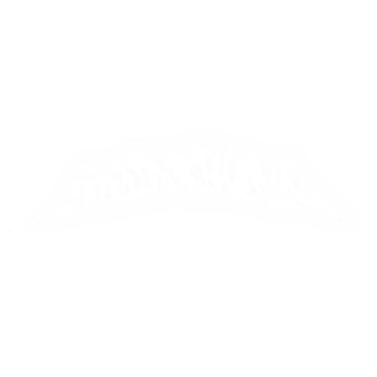 AOTD Banner